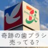 イトーヨーカドーアリオ八尾店。